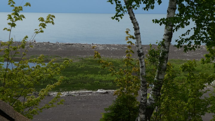 Lake Superior shoreline seen through birch trees
