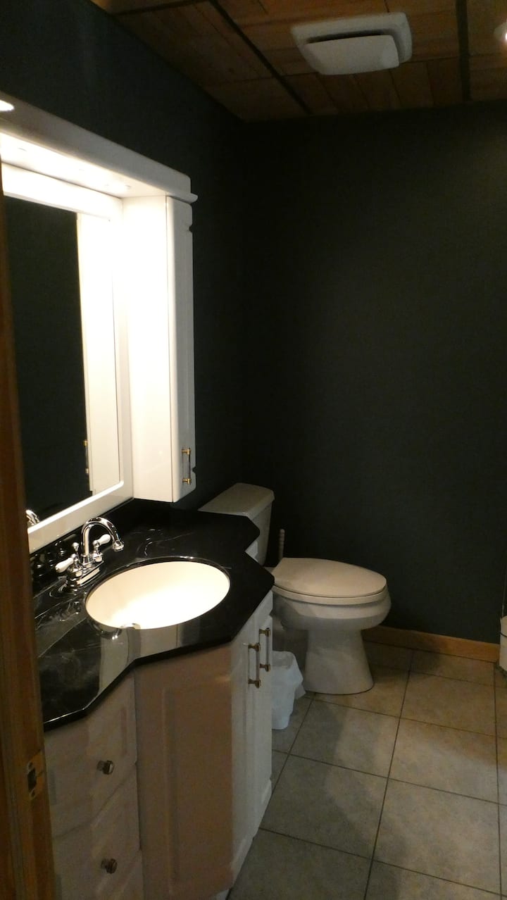 Bathroom vanity and toilet