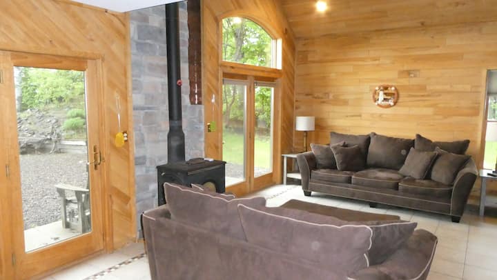 Wood-lined living room with fireplace and lake-facing windows