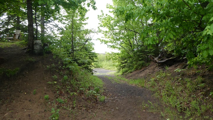 Wooded path leading toward Lake Superior