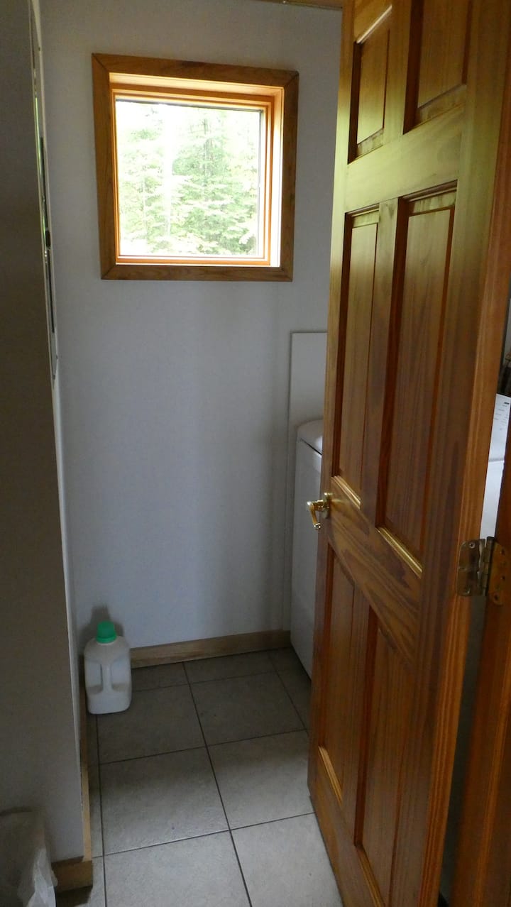 Bathroom entry and natural light
