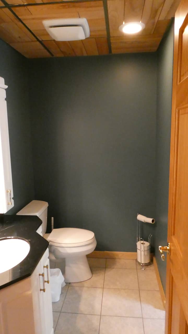 Second bathroom with vanity and toilet