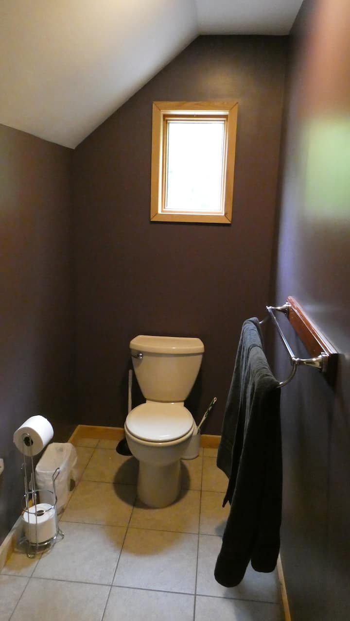 Bathroom toilet and window
